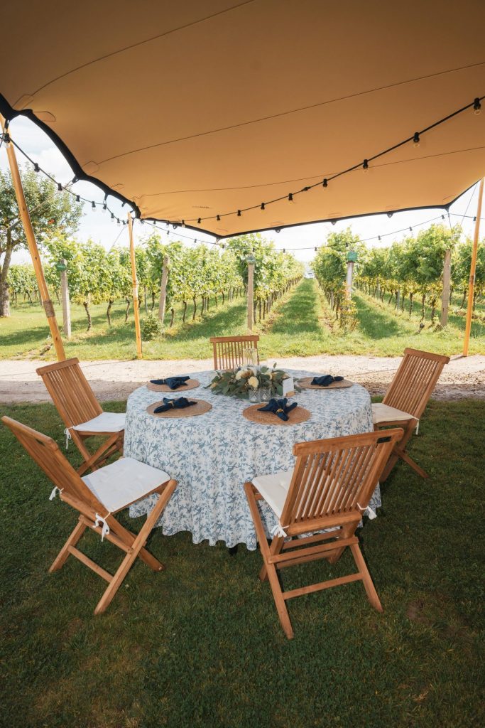 Tischwäsche mit Vögelchen in blau zum mieten